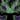 Vengeance DemonHunter