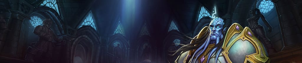 Paladin Banner