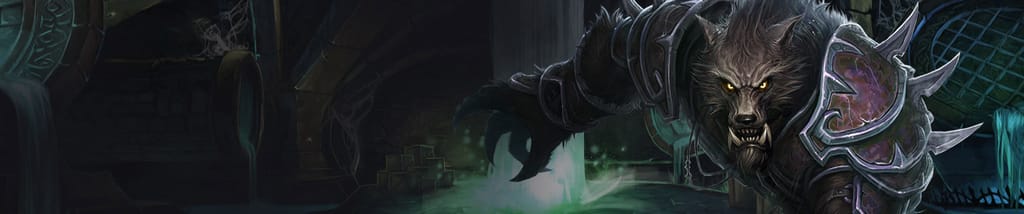 Rogue Banner