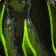 Spliced Fiendtrader's Skin Tights
